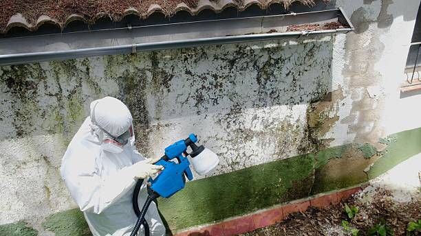 Mold Remediation service in Wakefield, Wakefield, VA